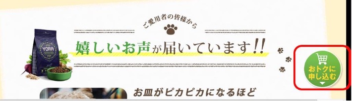 ヨラ ドックフードの安全性・口コミはどうなの？公式サイトよりも