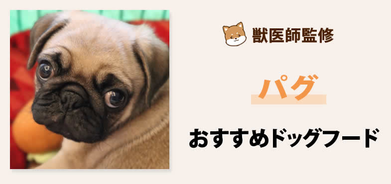 獣医師監修 パグの餌の選び方とおすすめのドックフード ドッグフード相談所 獣医師監修 パグの餌の選び方とおすすめのドックフード ドッグフード相談所