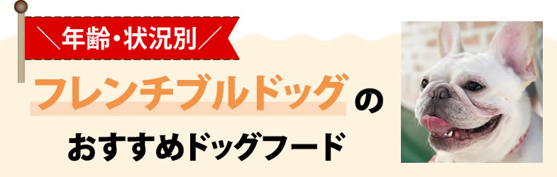 フレンチブルドッグおすすめのドックフード13選・餌の選び方は？【獣