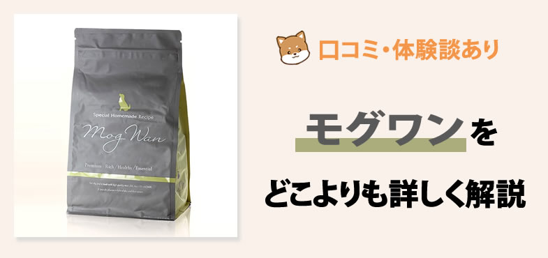 モグワンドッグフード100g 新品未開封