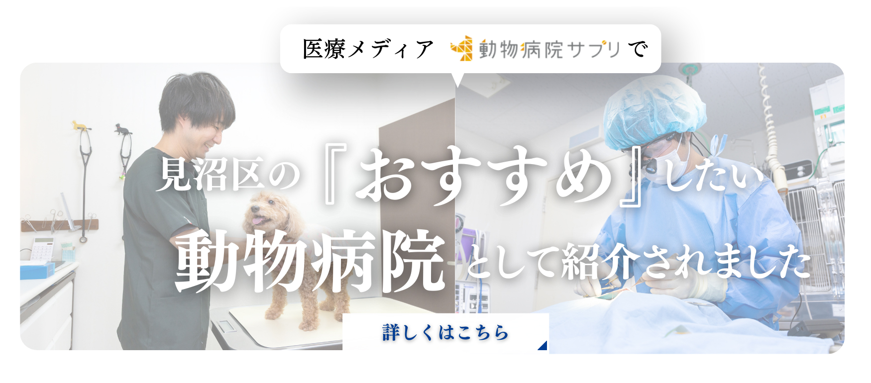 医療メディア動物病院サプリで見沼区の『おすすめ』したい動物病院として紹介されました