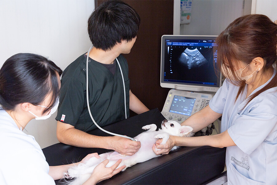 循環器科イメージ