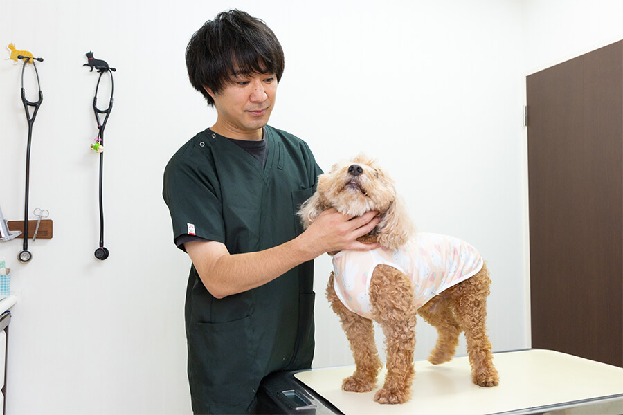 診療のイメージ