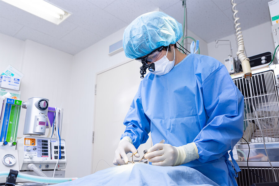 腫瘍科イメージ